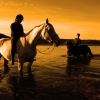 Horse back riding in the midnight sun