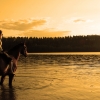 Horseback riding in the midnight sun